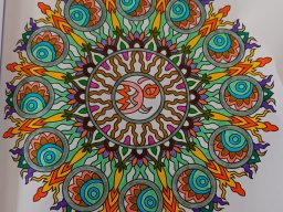 whatsapp bild 2024-07-23 um 18.49.26_1721a8c4